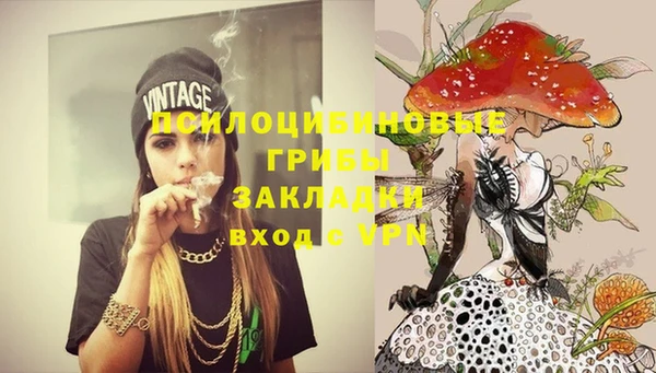 кокс Аркадак