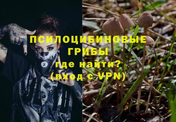 прущая мука Арсеньев