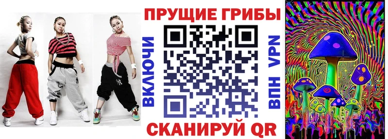цены наркотик  Ахтубинск  Псилоцибиновые грибы прущие грибы 